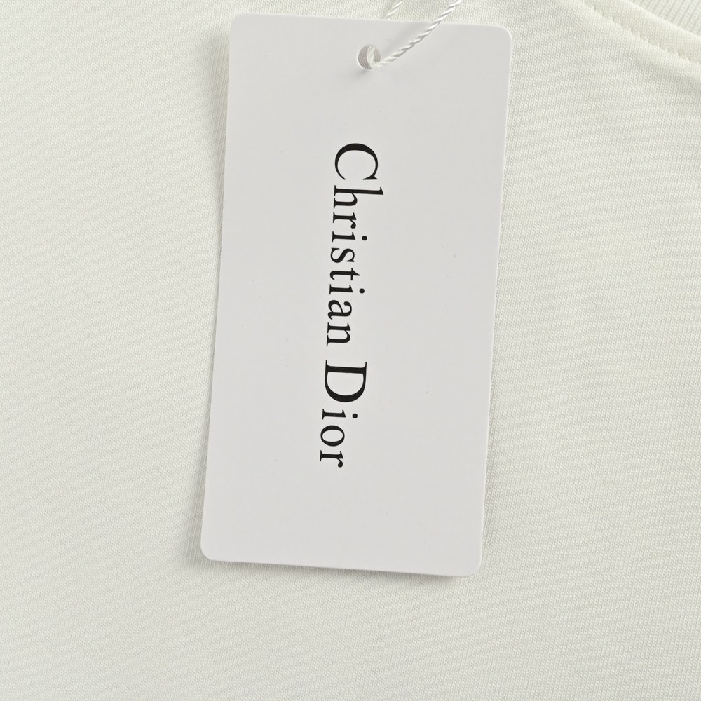 Dior T-shirts-309