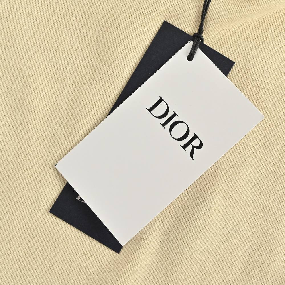 Dior T-shirts-464