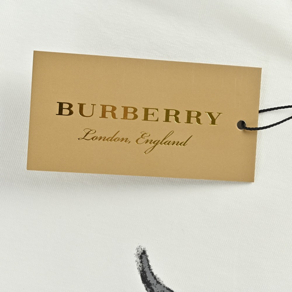 Burberry T-shirts-1296
