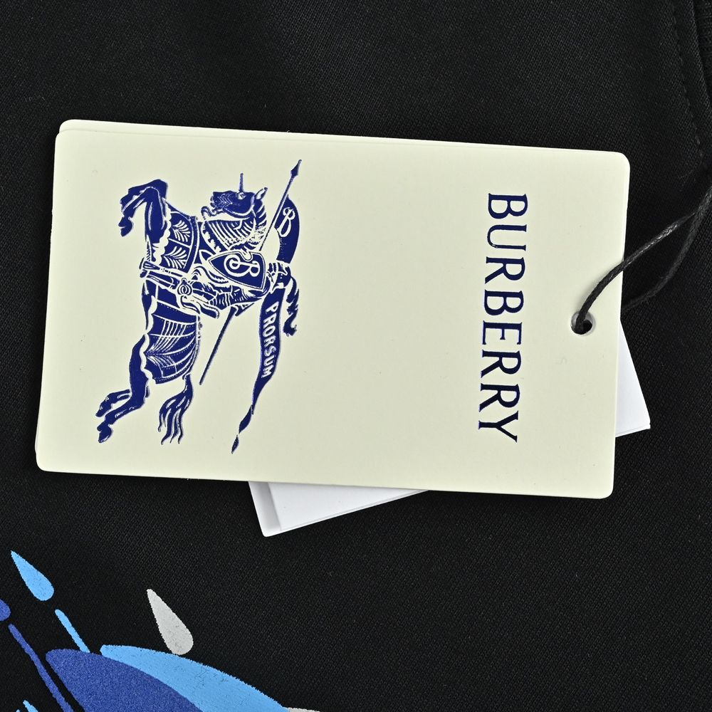 Burberry T-shirts-1330