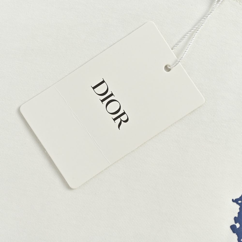 Dior T-shirts-508