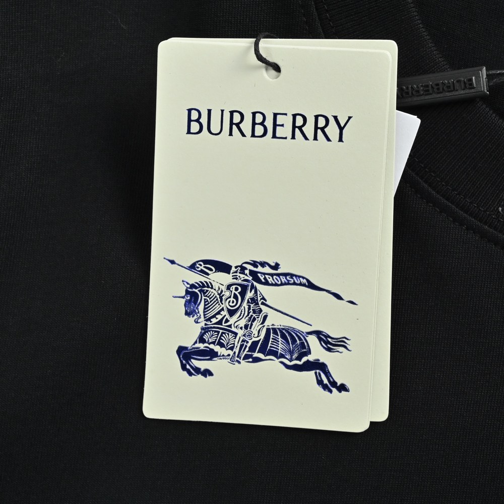 Burberry T-shirts-1325