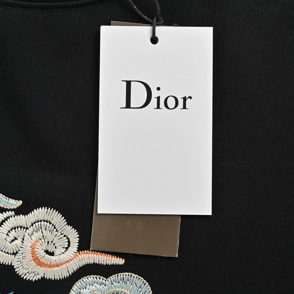 Dior T-shirts-352