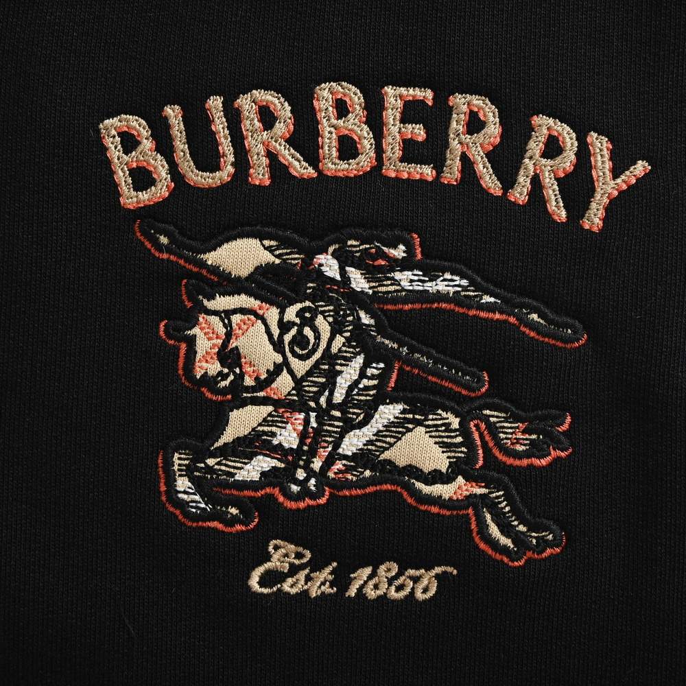 Burberry Pants-029