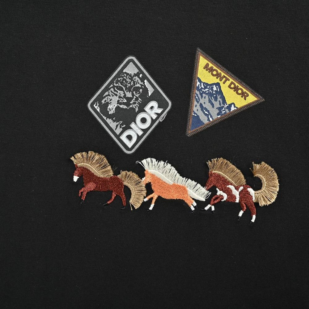 Dior T-shirts-330