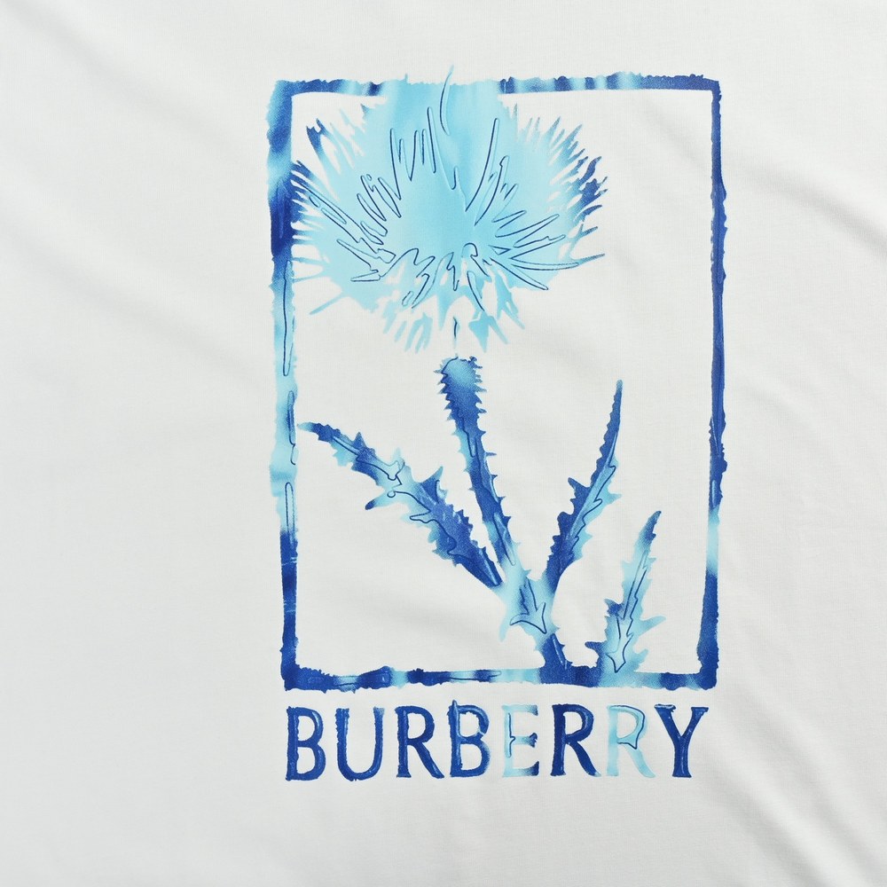 Burberry T-shirts-1326