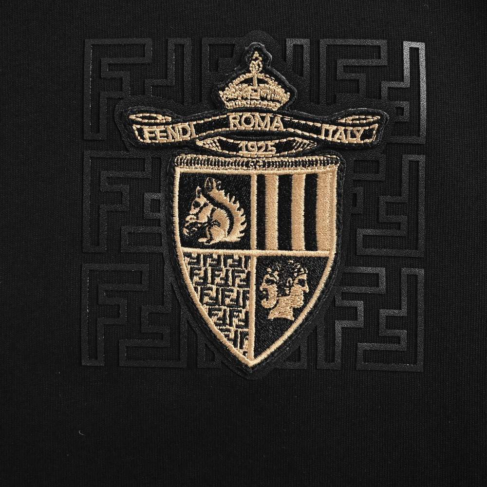 Fendi T-shirts-624