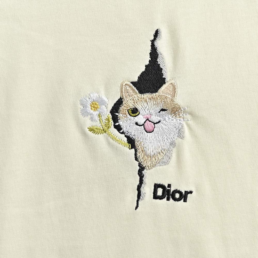 Dior T-shirts-493