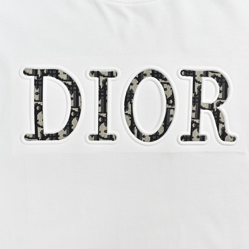 Dior T-shirts-395