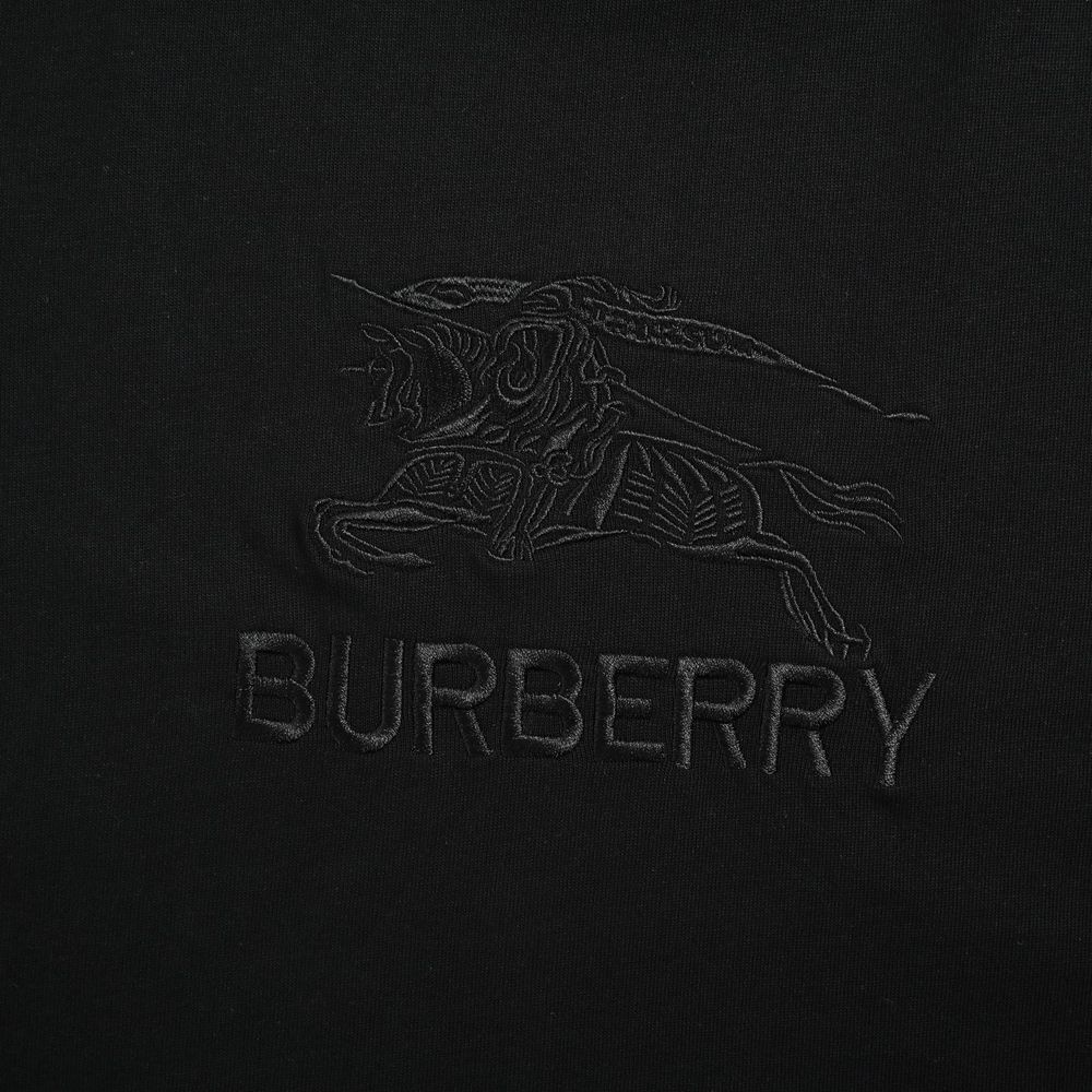Burberry T-shirts-1302