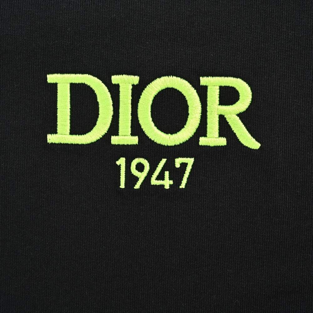 Dior T-shirts-348