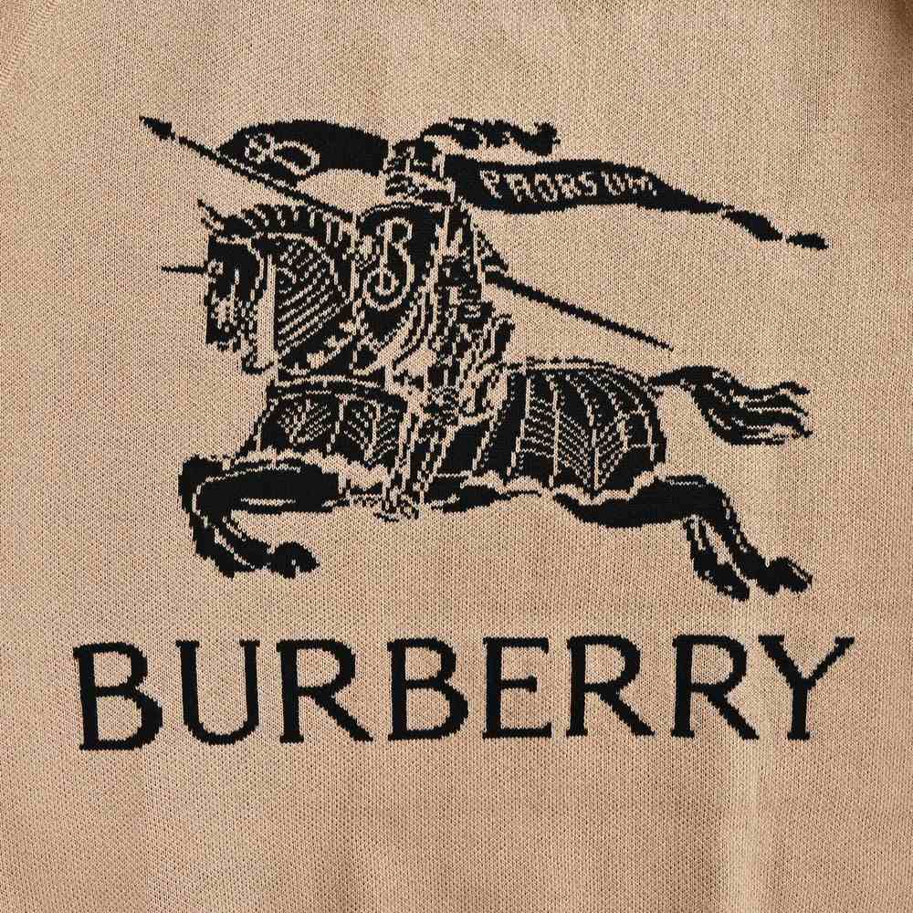 Burberry Leather Jacket-042