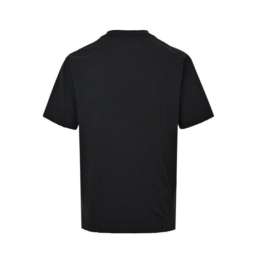 LV T-shirts-2885