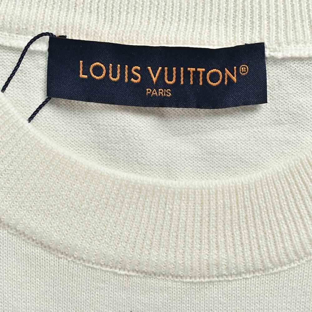 LV T-shirts-2894