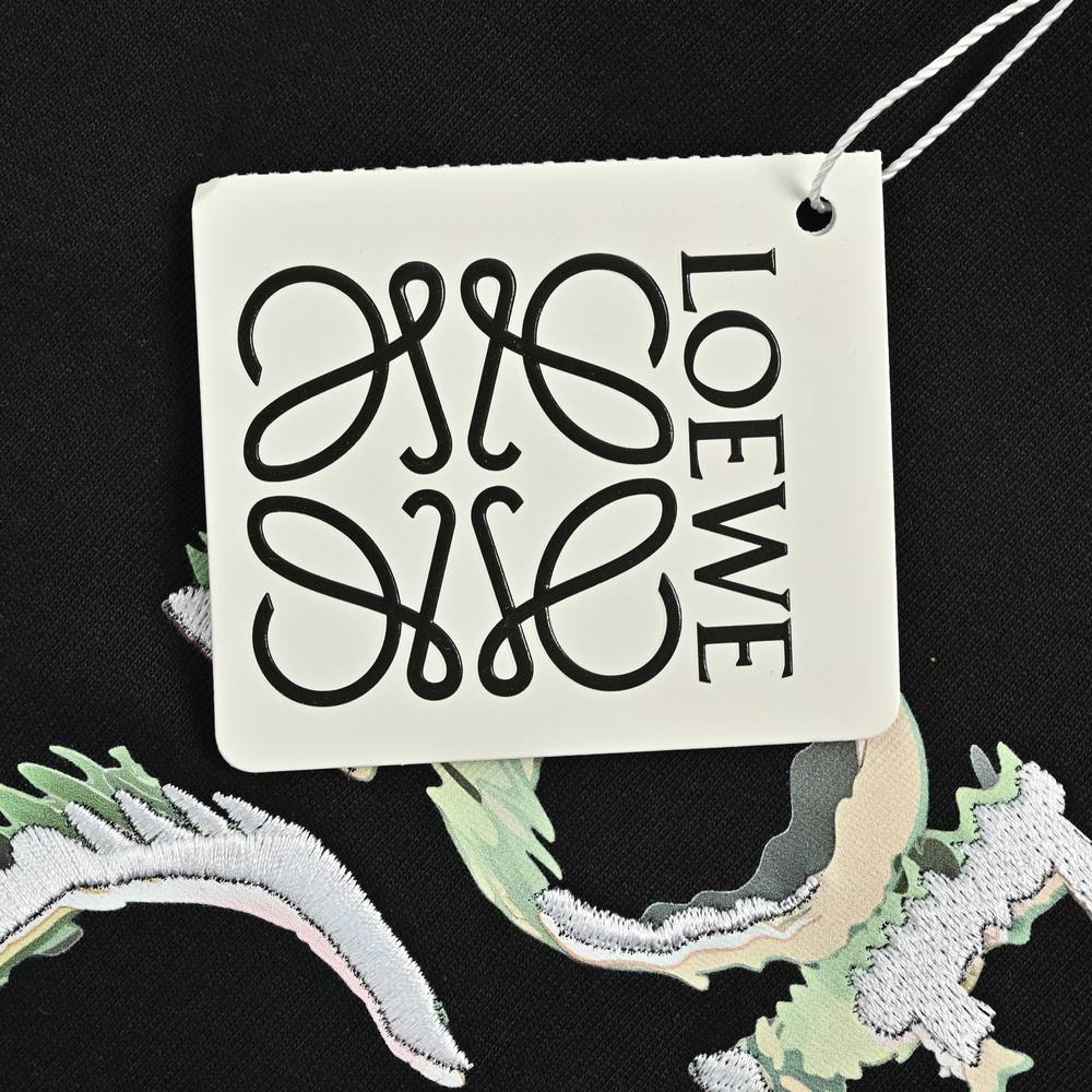 LOEWE T-shirts-280