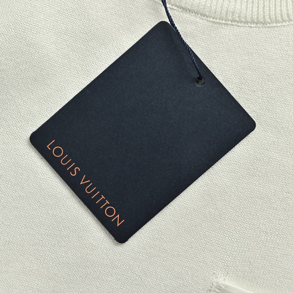 LV T-shirts-2894