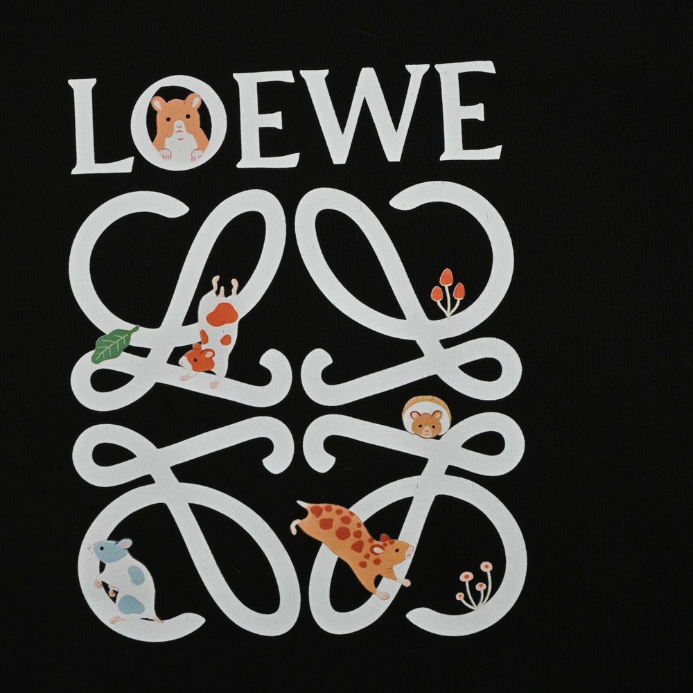 LOEWE T-shirts-270