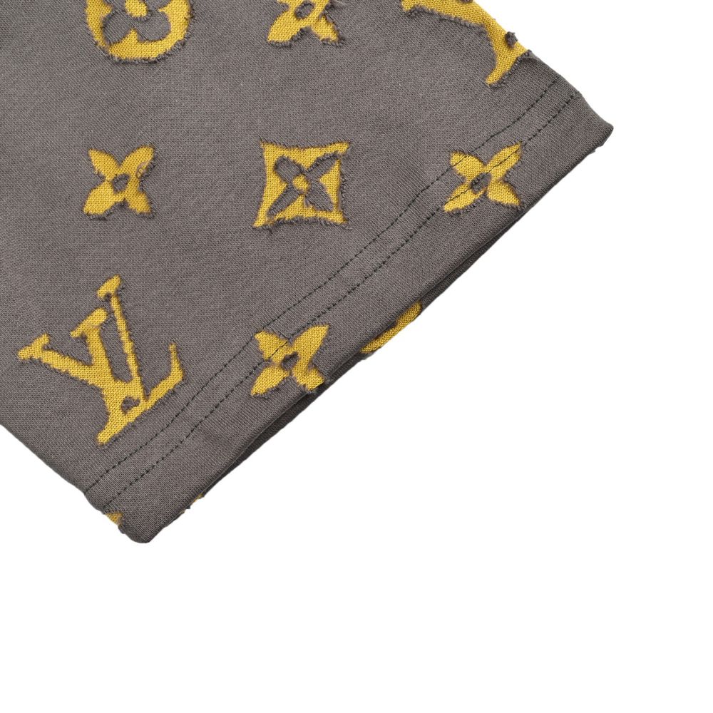 LV T-shirts-2484