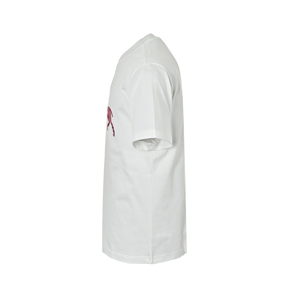 Polo T-shirts-126