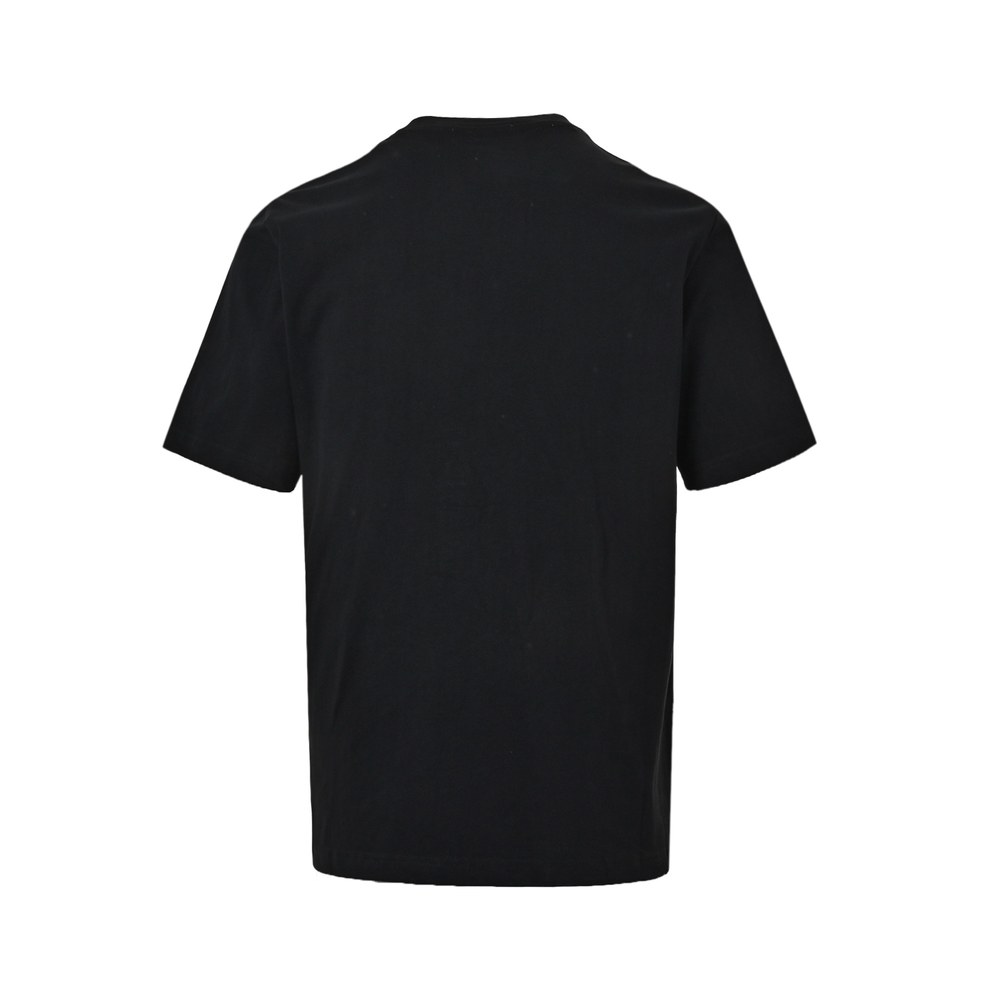 Stone island T-shirts-010
