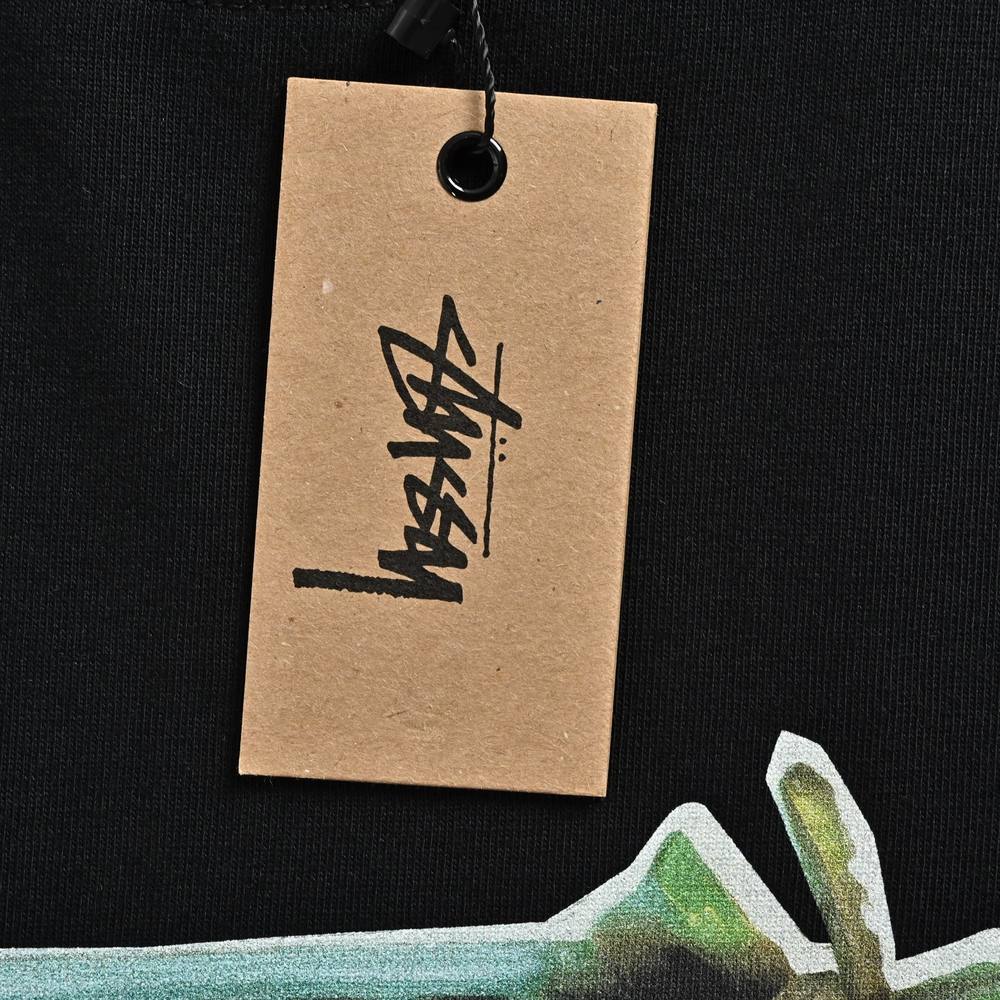 Stussy T-shirts-041