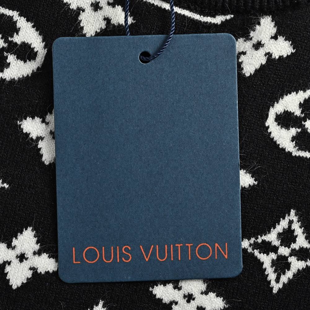 LV Sweater-484