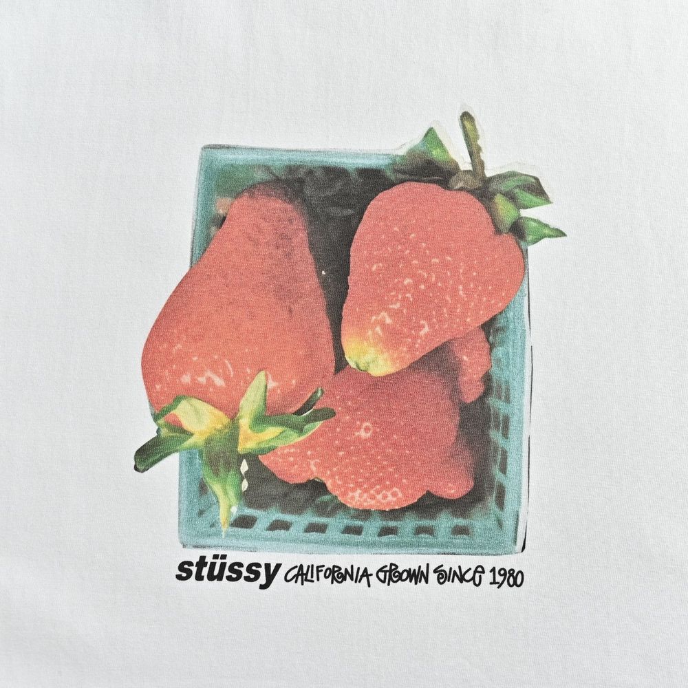 Stussy T-shirts-042