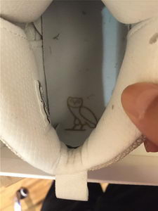 Air Jordan X Retro'OVO'-001