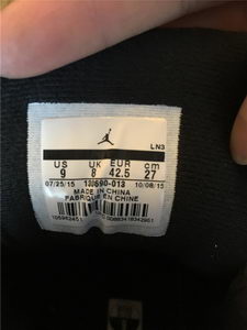 Air Jordan 12 The Master-006
