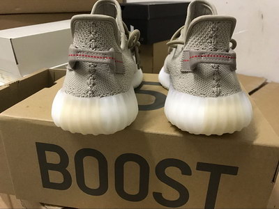 Authentic Adidas Yeezy 350 Boost V2-022